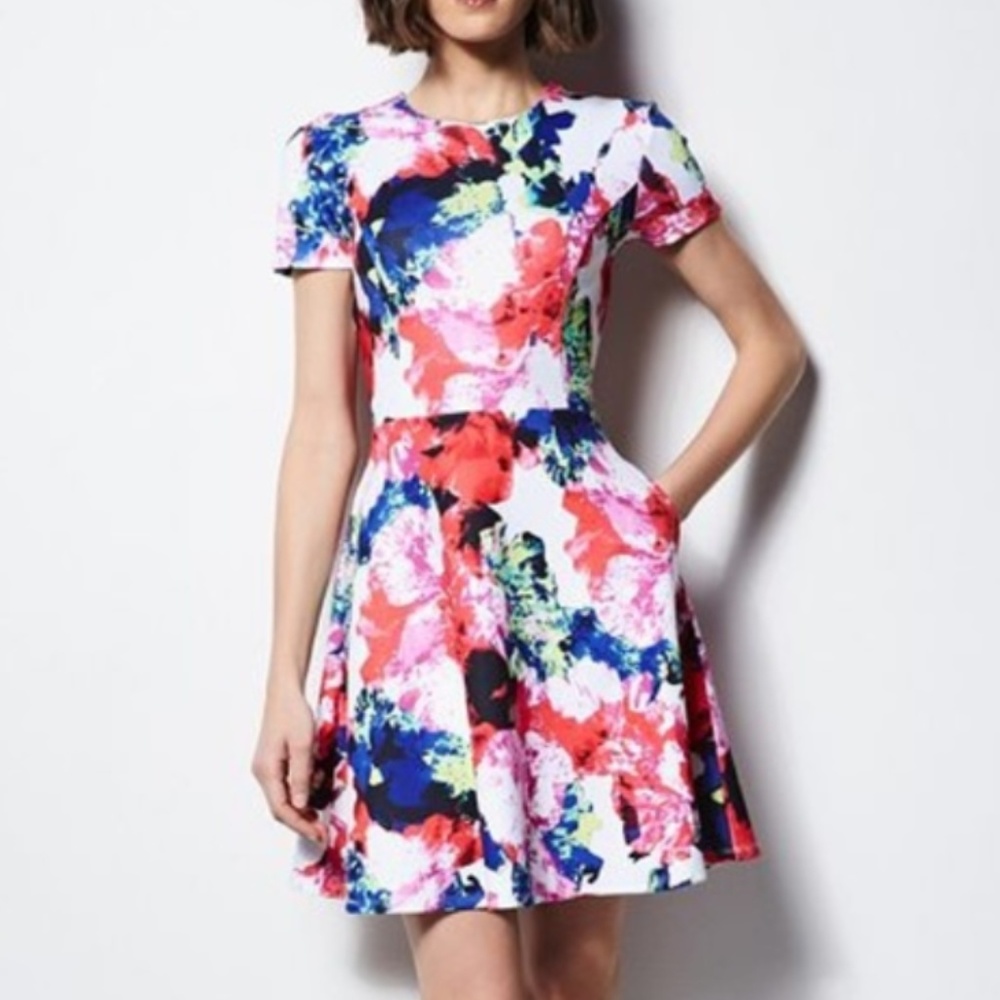Milly Colorful Floral Dress with Pockets Sz 2